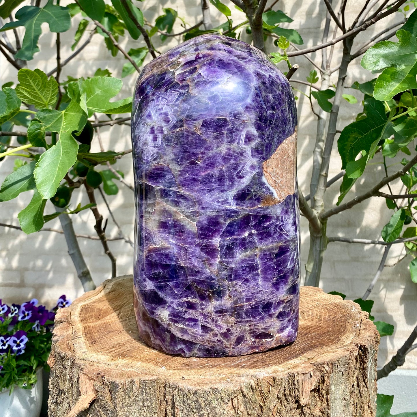 Polierter tiefvioletter Amethyst - 34 cm / 20,7 kg Polierter tiefvioletter Amethyst - 34 cm / 20,7 kg