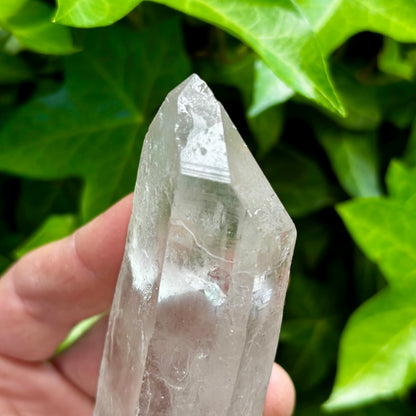 Bjergkrystal rå laser 16,5 cm | Brasilien