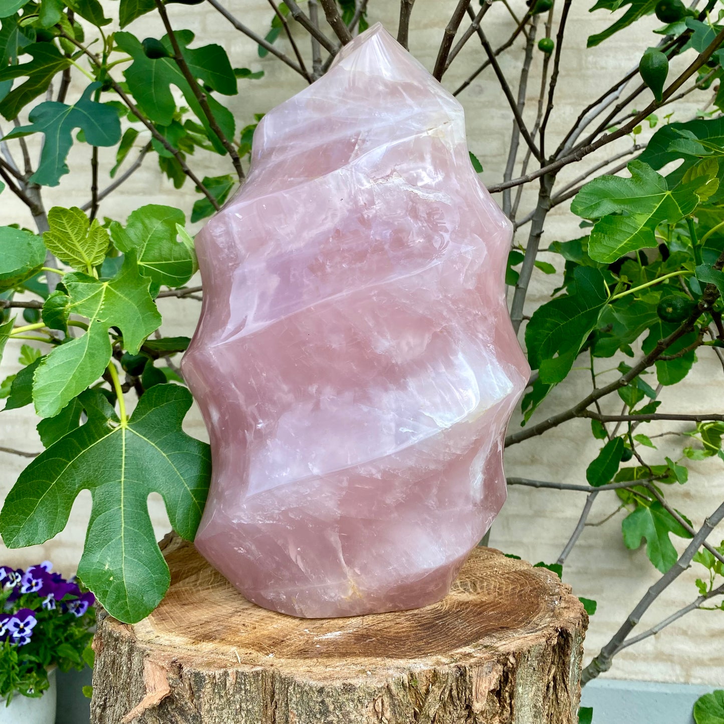 Polerad Rose Quartz Flame - 45 cm / 32,5 kg  Polerad Rose Quartz Flame - 45 cm / 32,5 kg 