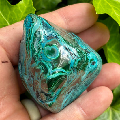 Mallacolla poleret 6,5 cm