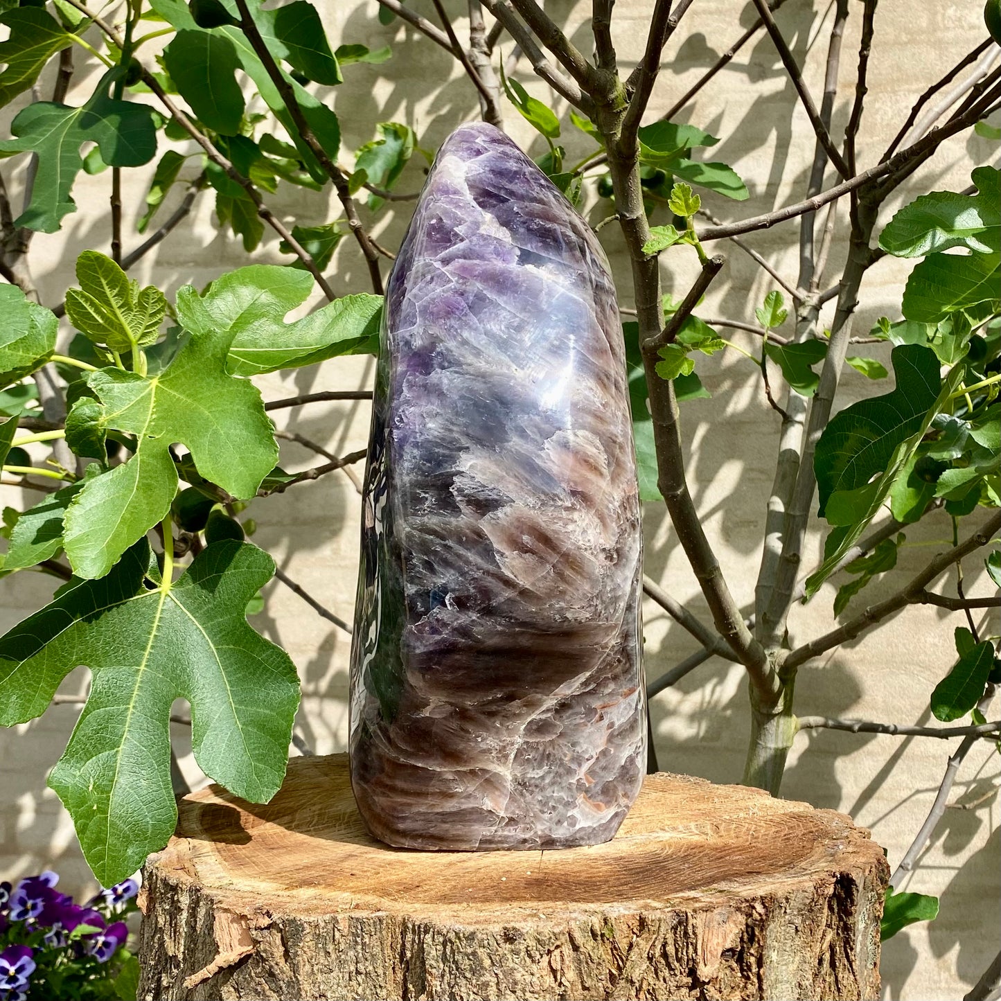 Polierter tiefvioletter Amethyst - 35 cm / 17 kg Polierter tiefvioletter Amethyst - 35 cm / 17 kg