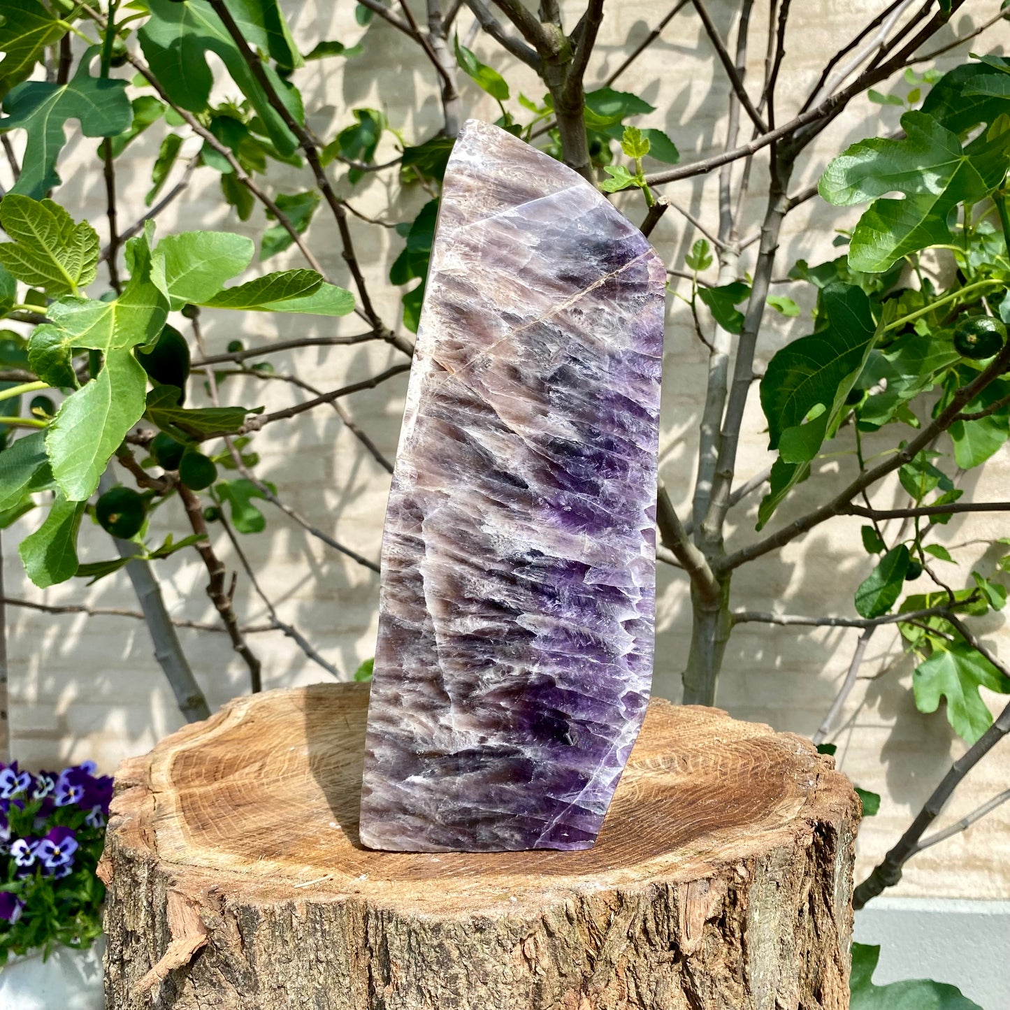 Polierte Traumblume Amethyst - 32 cm / 8,5 kg Polierte Traumblume Amethyst - 32 cm / 8,5 kg