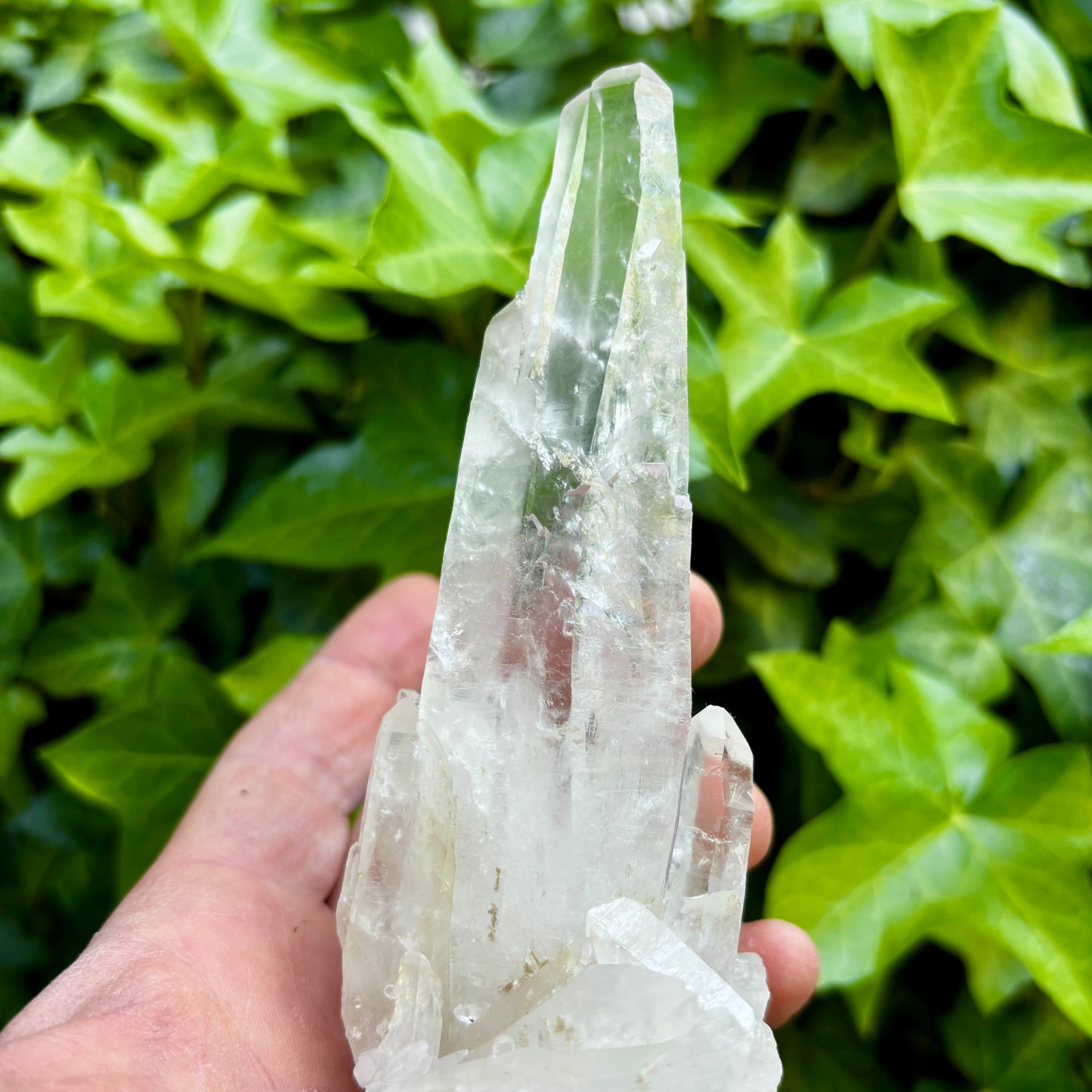 Bjergkrystal rå laser 17,5 cm | Brasilien Bjergkrystal rå laser 17,5 cm | Brasilien