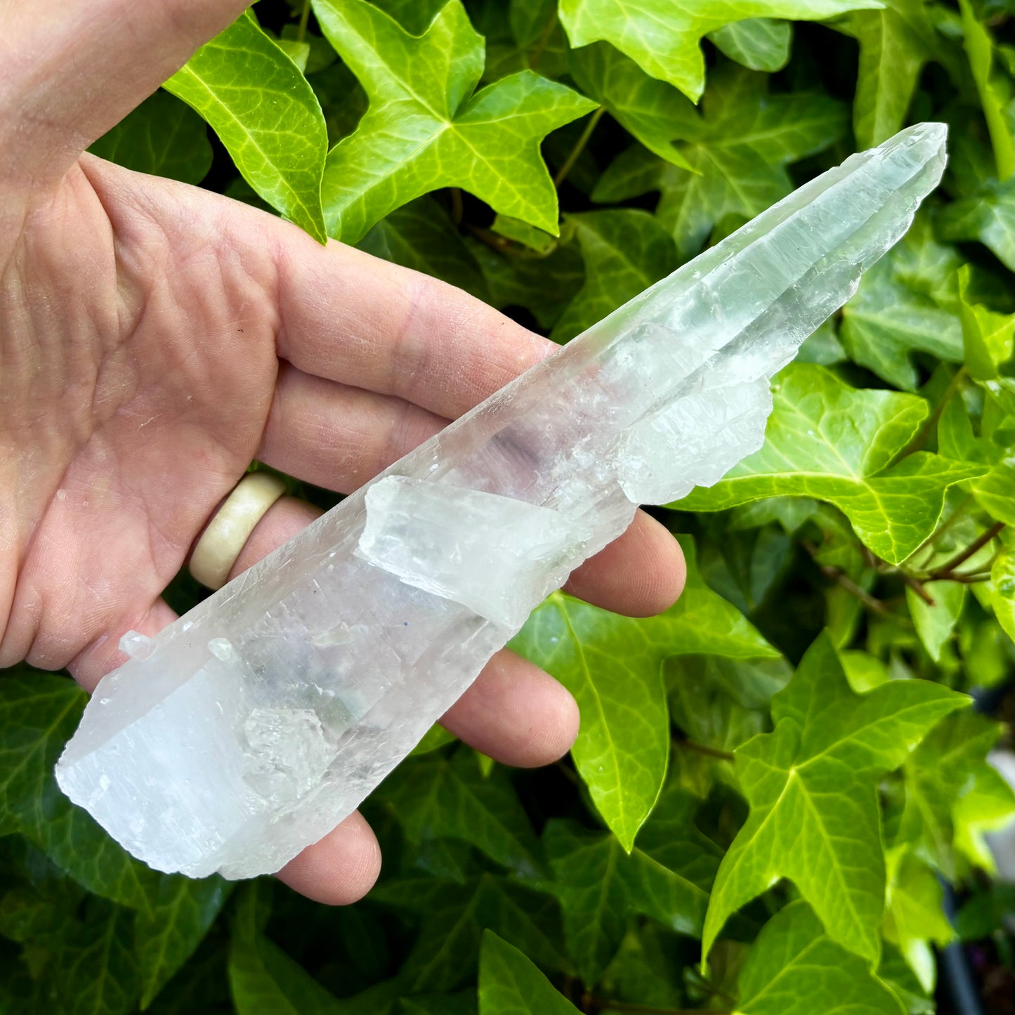 Bjergkrystal rå laser 18 cm | Brasilien Bjergkrystal rå laser 18 cm | Brasilien