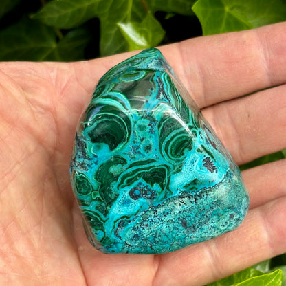 Mallacolla poleret 6,5 cm