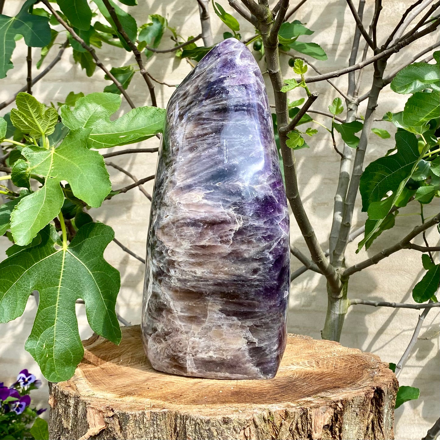 Polierter tiefvioletter Amethyst - 35 cm / 17 kg Polierter tiefvioletter Amethyst - 35 cm / 17 kg