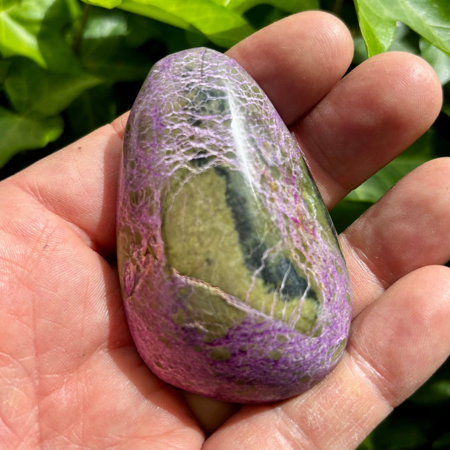Stichtit i serpentin - palmstone | 7 cm Stichtit i serpentin - palmstone | 7 cm