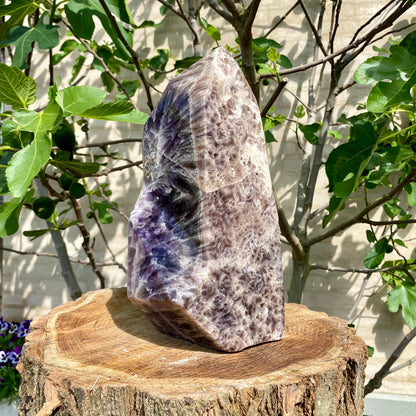 Polierte Traumblume Amethyst - 32 cm / 8,5 kg