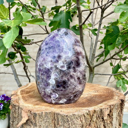 Polierte Blume Amethyst - 21 cm / 4,9 kg 