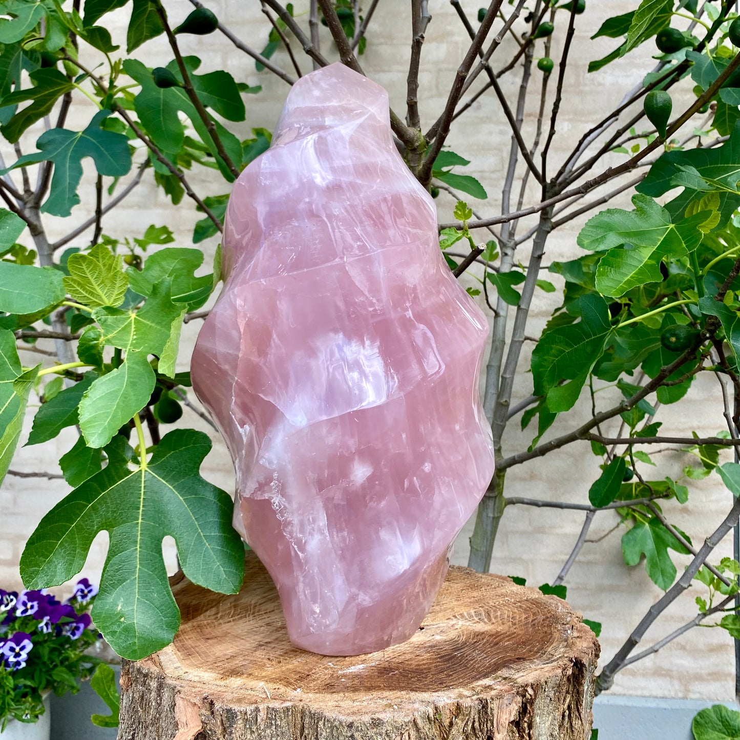 Polerad Rose Quartz Flame - 45 cm / 32,5 kg  Polerad Rose Quartz Flame - 45 cm / 32,5 kg 