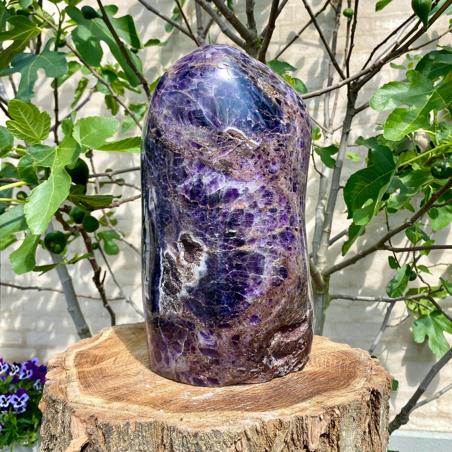 Polierter tiefvioletter Amethyst - 34 cm / 20,7 kg Polierter tiefvioletter Amethyst - 34 cm / 20,7 kg