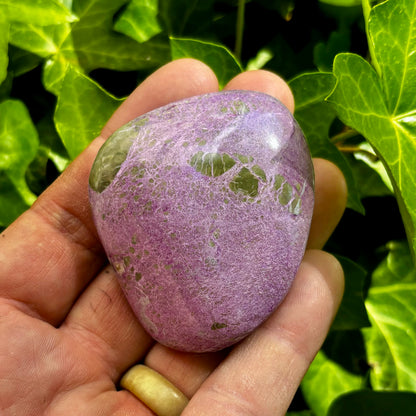 Stichtit i serpentin - palmstone | 6,5 cm
