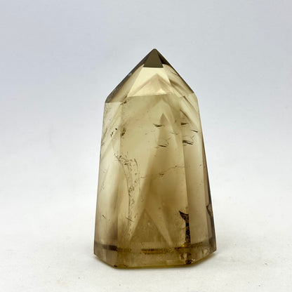 Cognac røg Citrin og forstenet bivalve musling