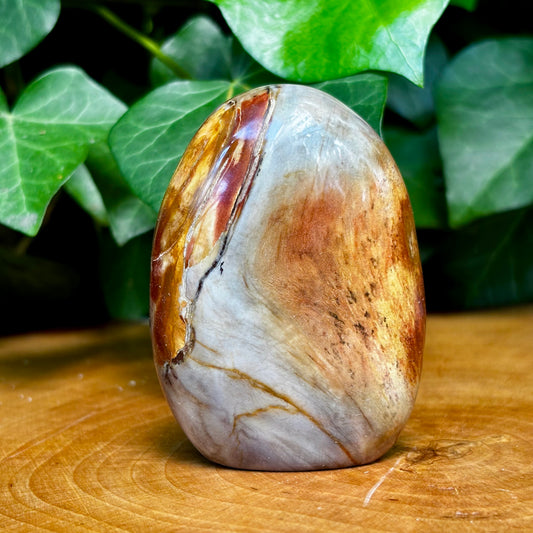 Billede af Forstenet træ skulptur 7 cm