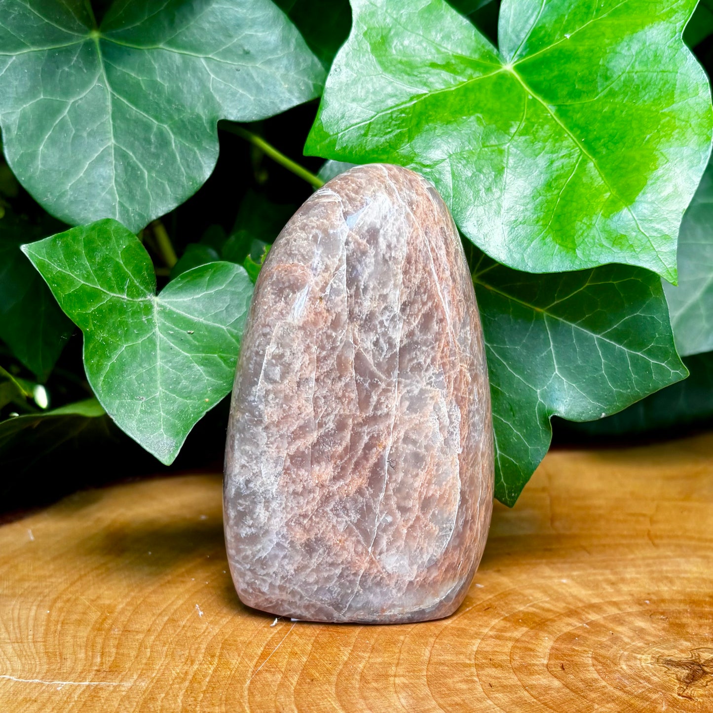 Fersken Månesten skulptur 9,5 cm Fersken Månesten skulptur 9,5 cm