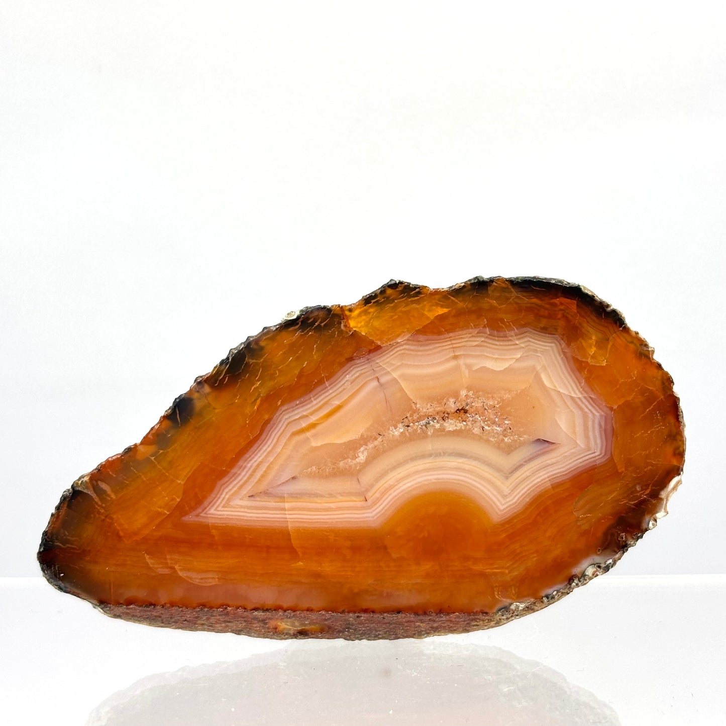 Karneol agat skive 8,5 cm | nr. 8 Karneol agat skive 8,5 cm | nr. 8