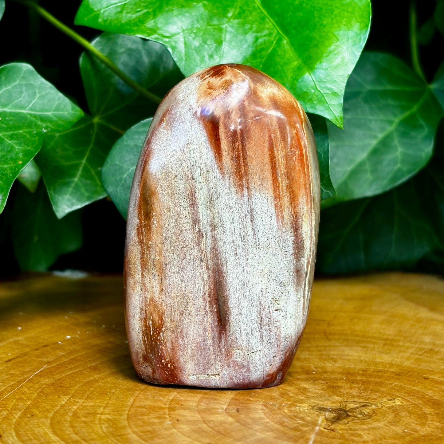 Forstenet træ skulptur 8,5 cm Forstenet træ skulptur 8,5 cm
