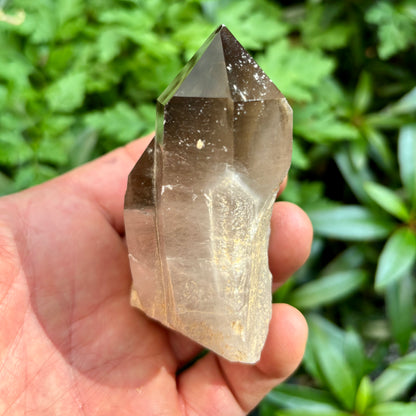 Skardu Røgkvarts naturlig 8 cm