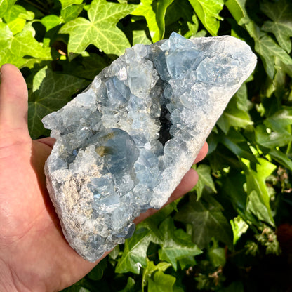 Celestit geodebrud - 19 cm