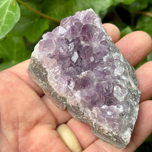 Billede af Ametyst klynge Brasilien nr 4