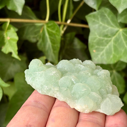 Prehnit klynge Botryoidal 8,5 cm | nr 1