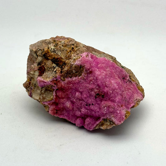 Billede af Rosa Dolomit / Salrose 7,5 cm