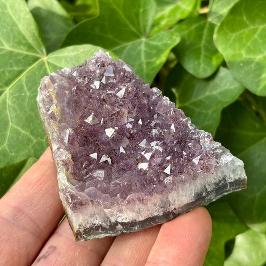 Billede af Ametyst klynge Uruguay nr 12