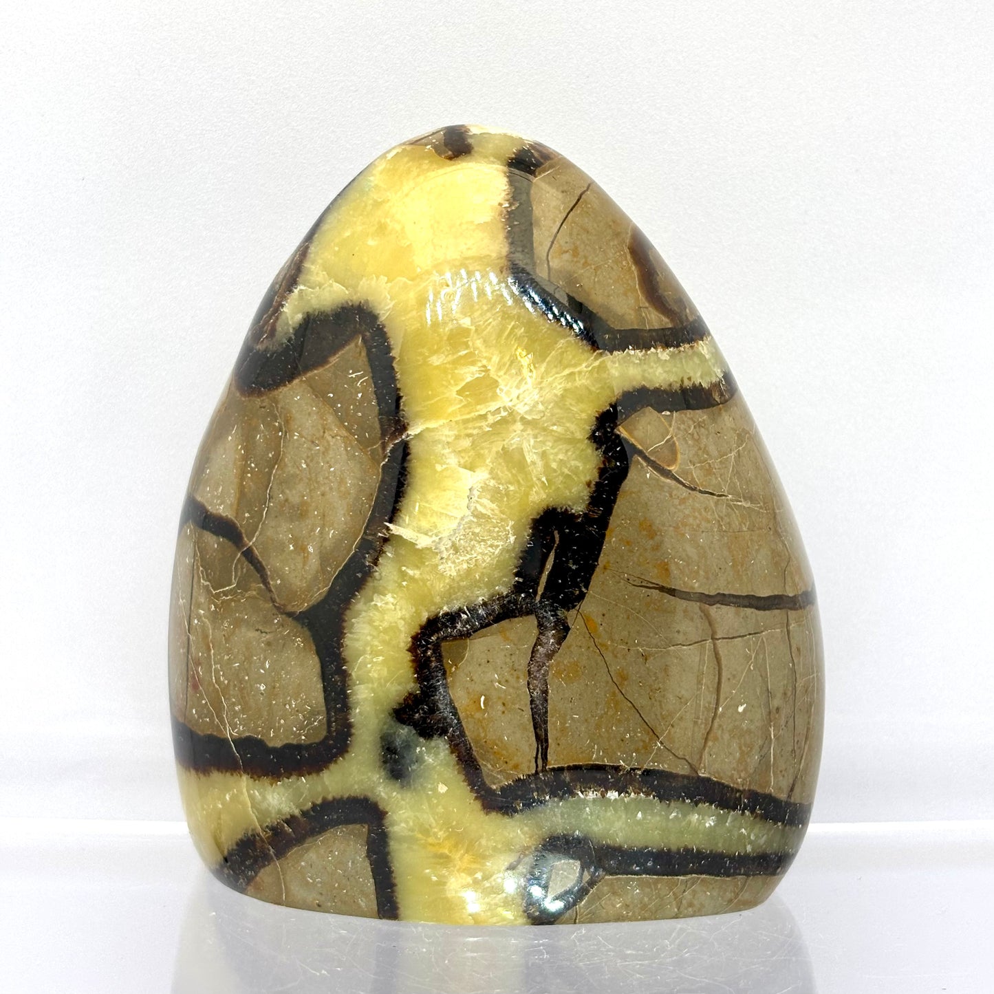 Septarie drusy skulptur 9 cm | nr. 2 Septarie drusy skulptur 9 cm | nr. 2