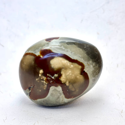 NW. M. Polychrome jaspis palmstone - 5,5 cm | nr. 19