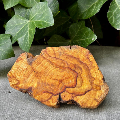 Palo Santo Podie til ceremoni og fokus