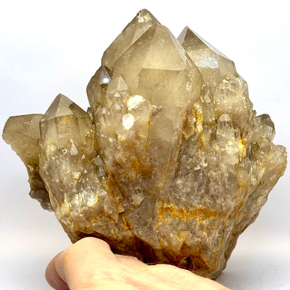 Smokey Citrin klynge 16 cm, 2.3 kg | nr. 8