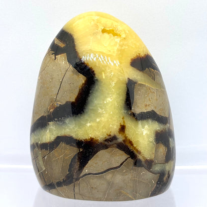 Septarie drusy skulptur 9 cm | nr. 12