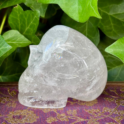 Krystal kranie | håndskåret | Himalaya Bjergkrystal | 8,2 cm