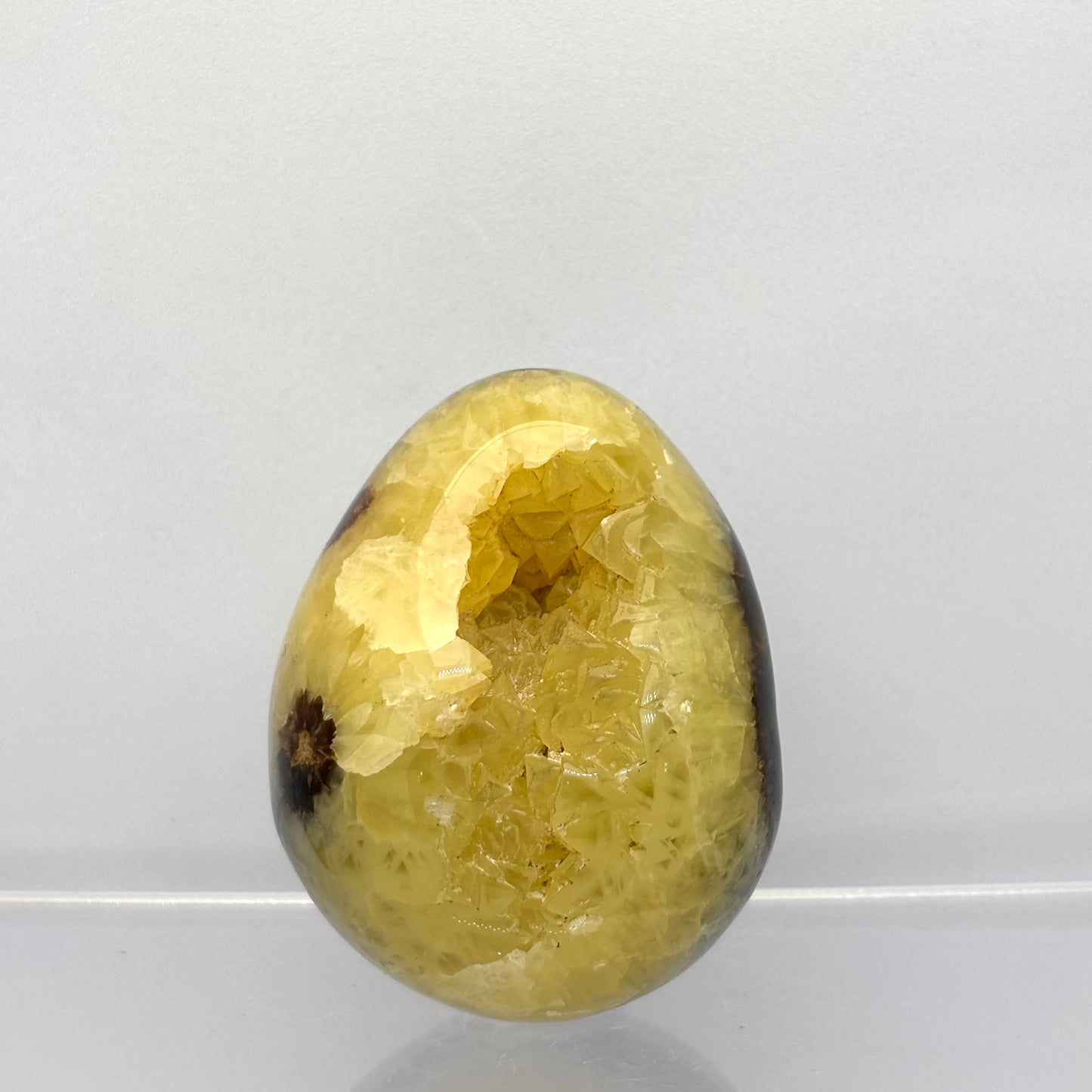 Septarie drusy æg 5,5 cm | nr. 7 Septarie drusy æg 5,5 cm | nr. 7