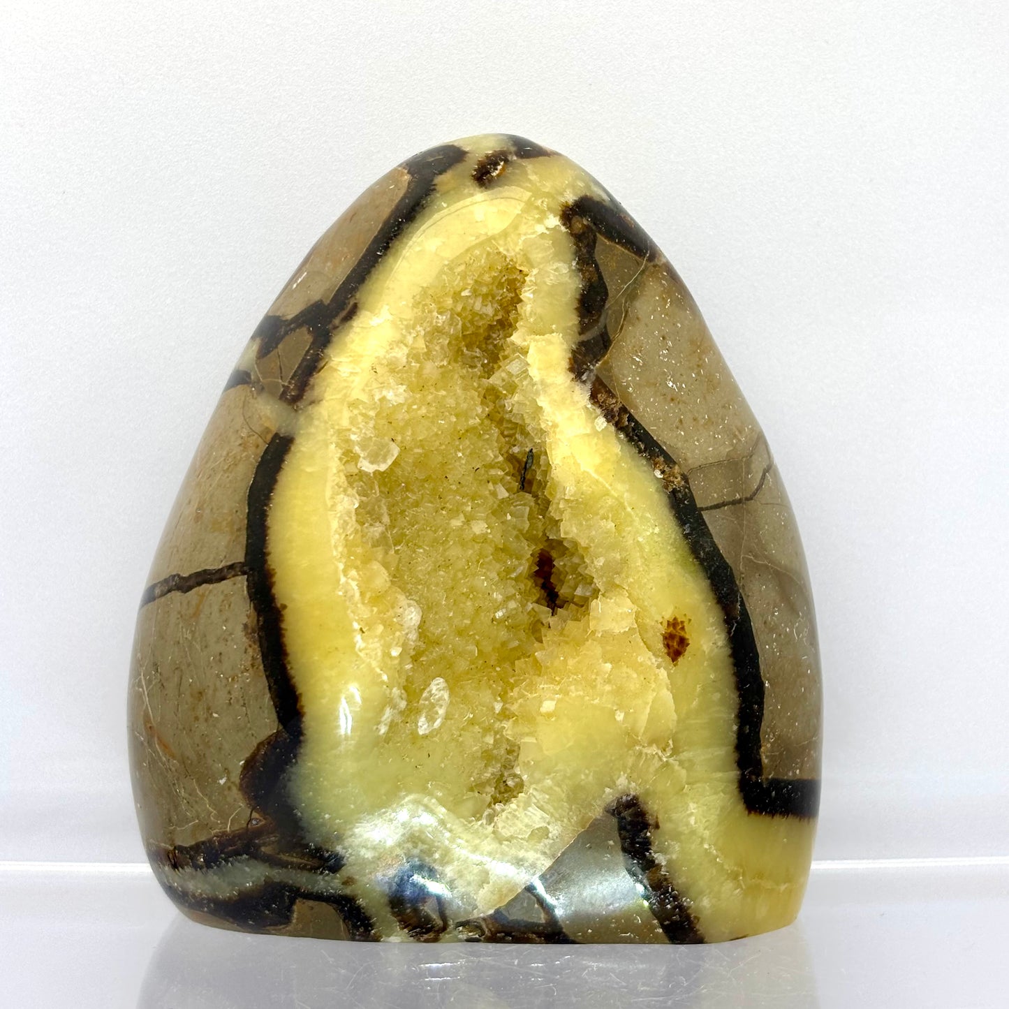 Septarie drusy skulptur 9 cm | nr. 2 Septarie drusy skulptur 9 cm | nr. 2