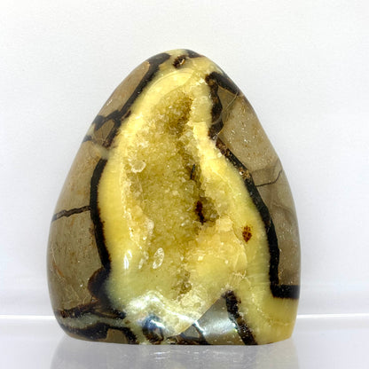 Septarie drusy skulptur 9 cm | nr. 2