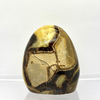 Septarie drusy form 6,5 cm | nr. 11