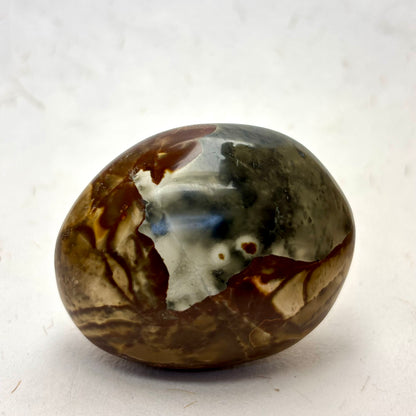 NW. M. Polychrome jaspis palmstone - 5,5 cm | nr. 17