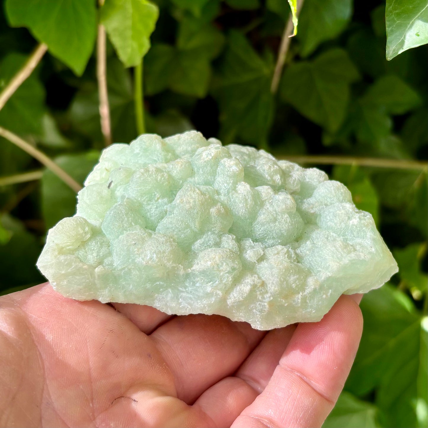 Prehnit klynge Botryoidal 10 cm | nr 5 Prehnit klynge Botryoidal 10 cm | nr 5