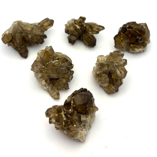 Billede af Mini Røgkvarts klynger, Namibia, Erongo 3 cm