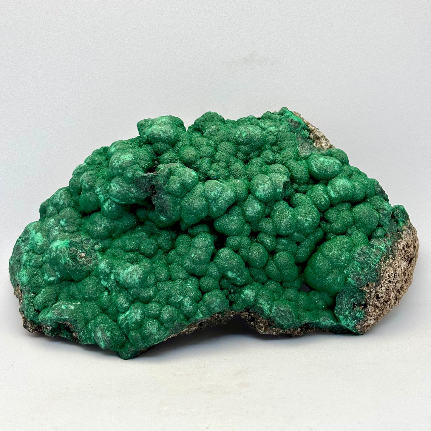 Botryoidal Malakit klynge 15,5 cm | Congo Botryoidal Malakit klynge 15,5 cm | Congo