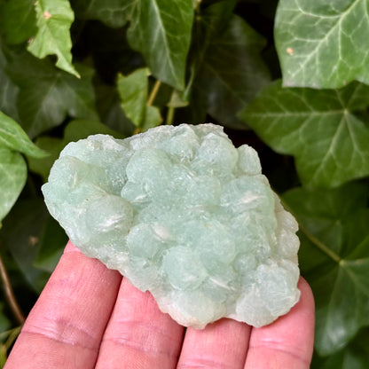 Prehnit klynge Botryoidal 8,5 cm | nr 1