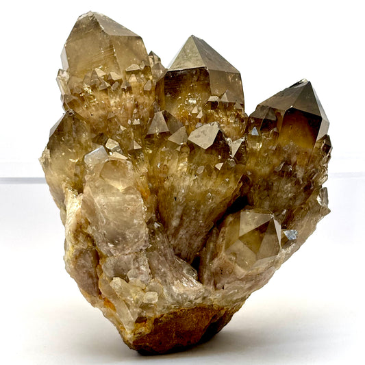 Billede af Smokey Citrin klynge 13,5 cm, 1.1 kg | nr. 7