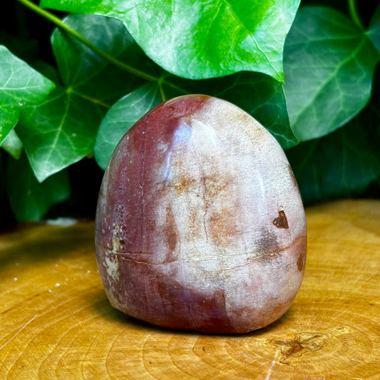 Billede af Forstenet træ skulptur 7 cm