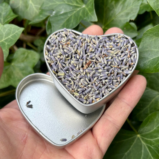 Billede af Økologisk lavendel fra Provence - hjerte
