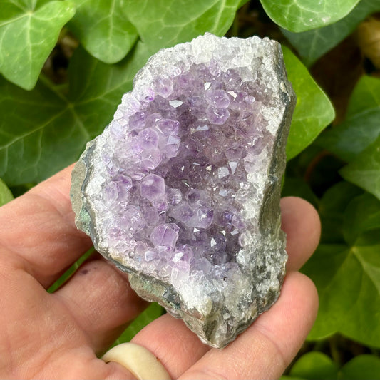 Billede af Ametyst klynge Brasilien nr 8