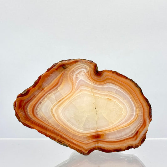 Billede af Karneol agat skive 7,5 cm | nr. 3