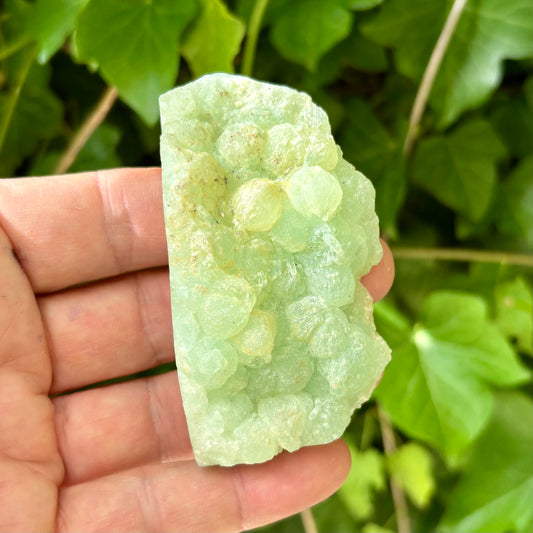 Billede af Prehnit klynge Botryoidal 8 cm | nr 6