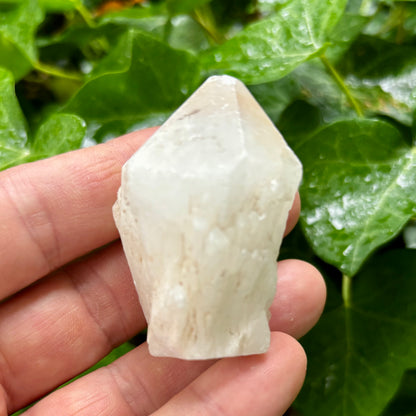 Bjergkrystal spids, candle kvarts - stående 5,5 cm
