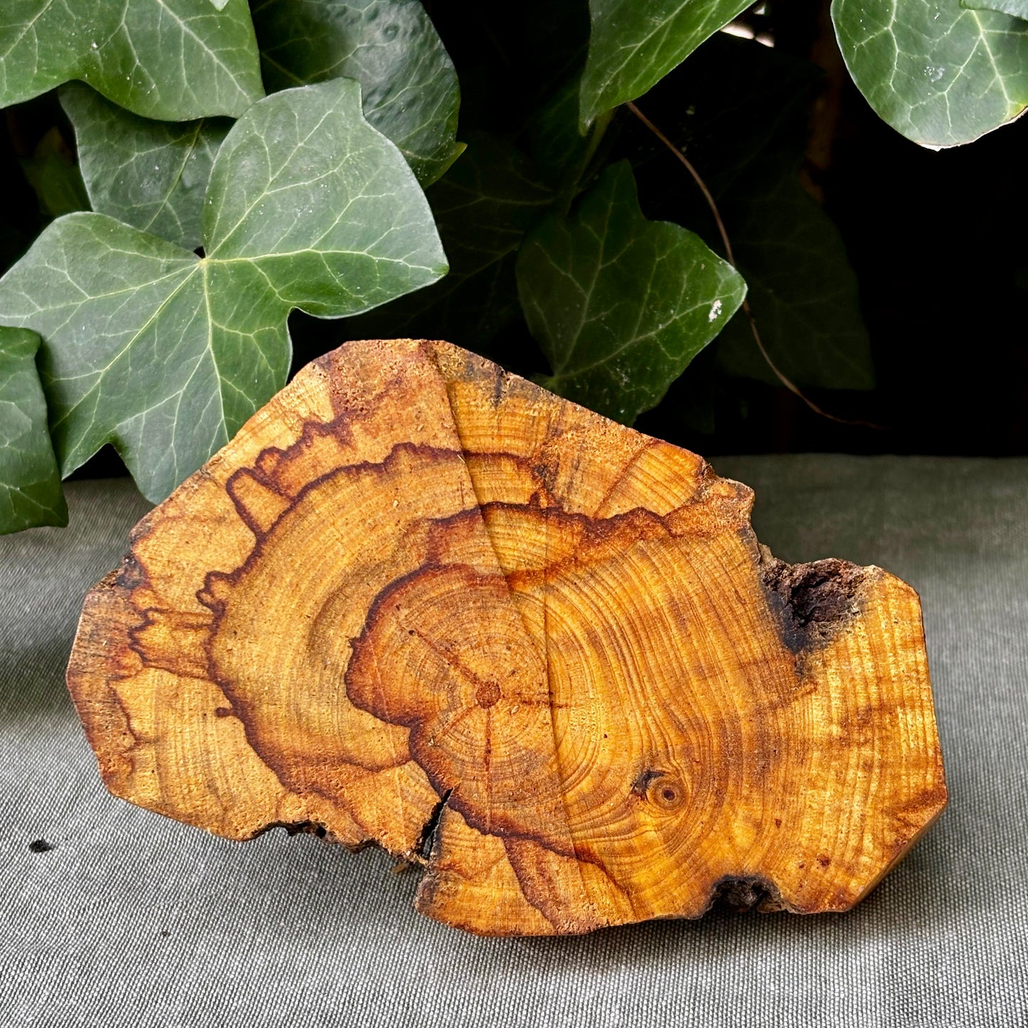 Palo Santo Podie til ceremoni og fokus Palo Santo Podie til ceremoni og fokus